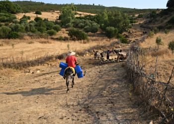Καύσωνας και διακοπές ρεύματος σε Αττική και Τυνησία