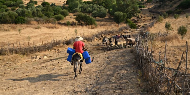 Καύσωνας και διακοπές ρεύματος σε Αττική και Τυνησία